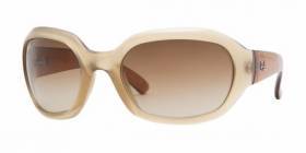 CLICK_ONRay Ban 4123FOR_ZOOM