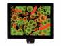 Levenhuk MED fotocamera digitale per microscopio da 5M con schermo LCD da 9,4'