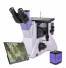 Microscopio metallografico invertito digitale MAGUS Metal VD700 BD