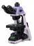 Microscopio biologico MAGUS Bio 240T