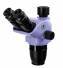 Testata del microscopio MAGUS Stereo 8BH