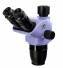 Testata del microscopio MAGUS Stereo 7TH