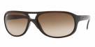 Ray Ban 4124