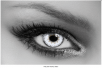 Trilogy Pearl Grey QUEEN'S lente colorata mensile