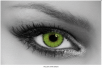 Trilogy Dark Green QUEEN'S lente colorata mensile