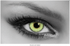 Trilogy Light Green QUEEN'S lente colorata mensile