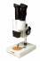 Microscopio Levenhuk 2ST